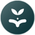 online development course